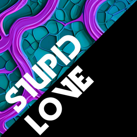 Stupid Love - Stanley Hottek